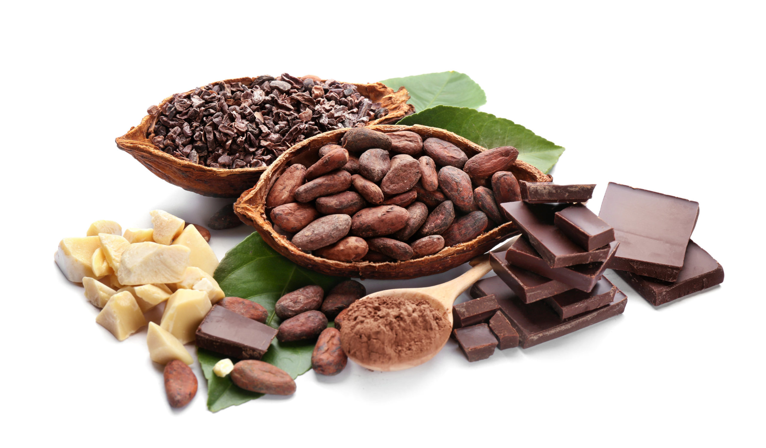 cocoa price